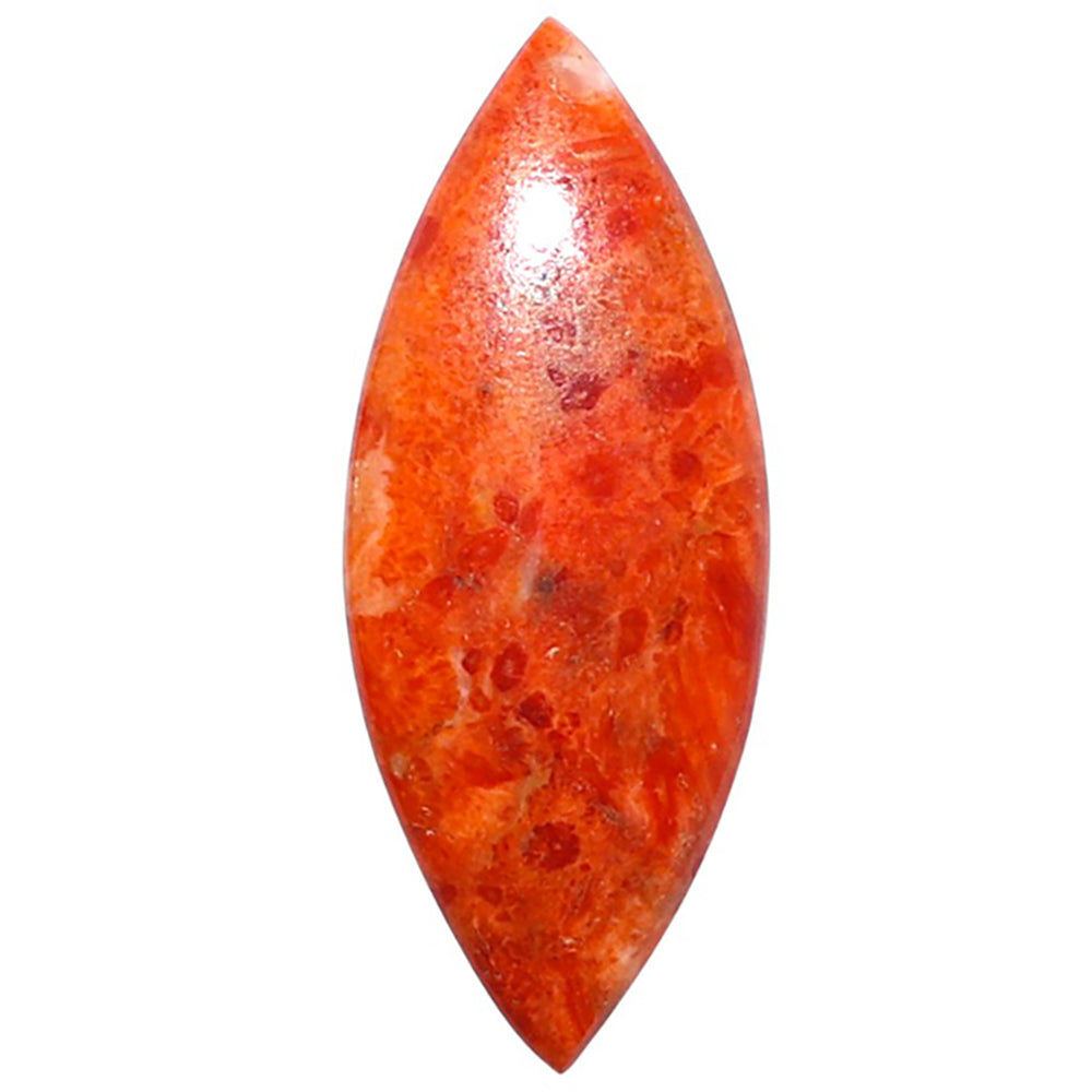 Red Sponge Coral 13.5x33.2x3.7 mm Marquise Shape Polished Gemstone LS156-09144