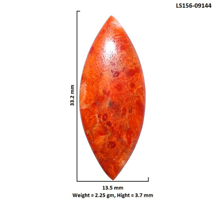 Red Sponge Coral 13.5x33.2x3.7 mm Marquise Shape Polished Gemstone LS156-09144