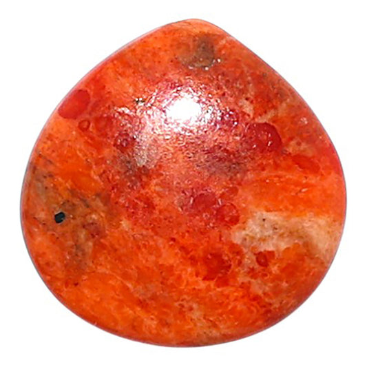 Red Sponge Coral 15.8x16x2.8 mm Heart Shape Polished Gemstone LS156-09145