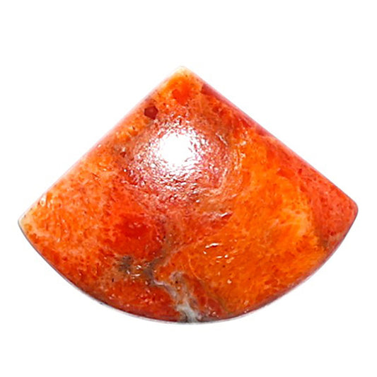 Red Sponge Coral 15.2x20x3.6 mm Fancy Shape Polished Gemstone LS156-09146