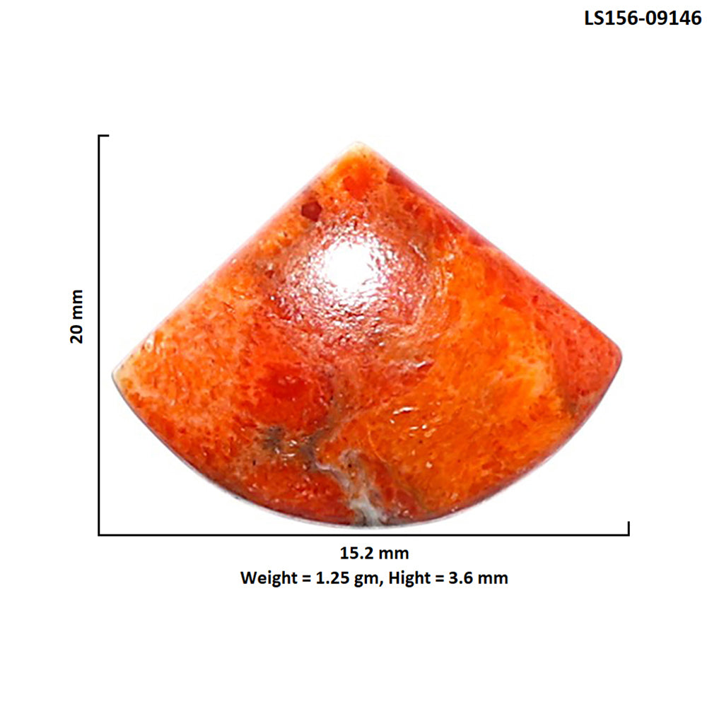 Red Sponge Coral 15.2x20x3.6 mm Fancy Shape Polished Gemstone LS156-09146