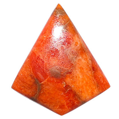 Red Sponge Coral 19.4x22x3.5 mm Fancy Shape Polished Gemstone LS156-09147