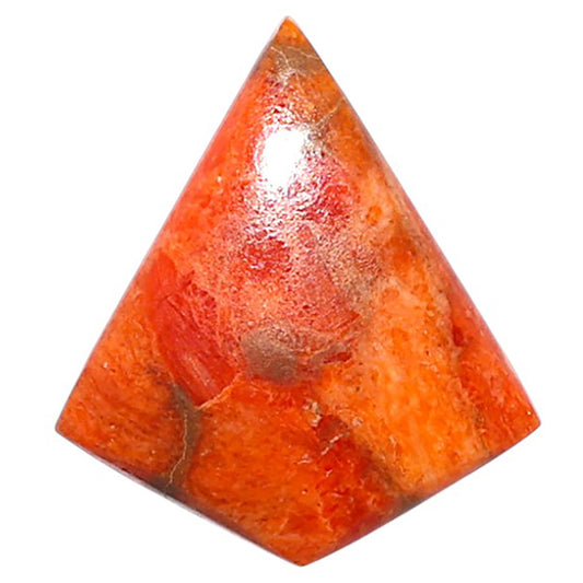 Red Sponge Coral 19.4x22x3.5 mm Fancy Shape Polished Gemstone LS156-09147