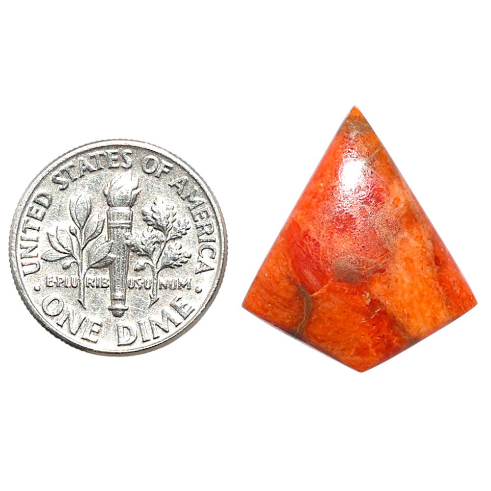 Red Sponge Coral 19.4x22x3.5 mm Fancy Shape Polished Gemstone LS156-09147