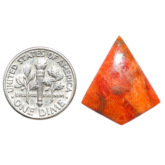 Red Sponge Coral 19.4x22x3.5 mm Fancy Shape Polished Gemstone LS156-09147