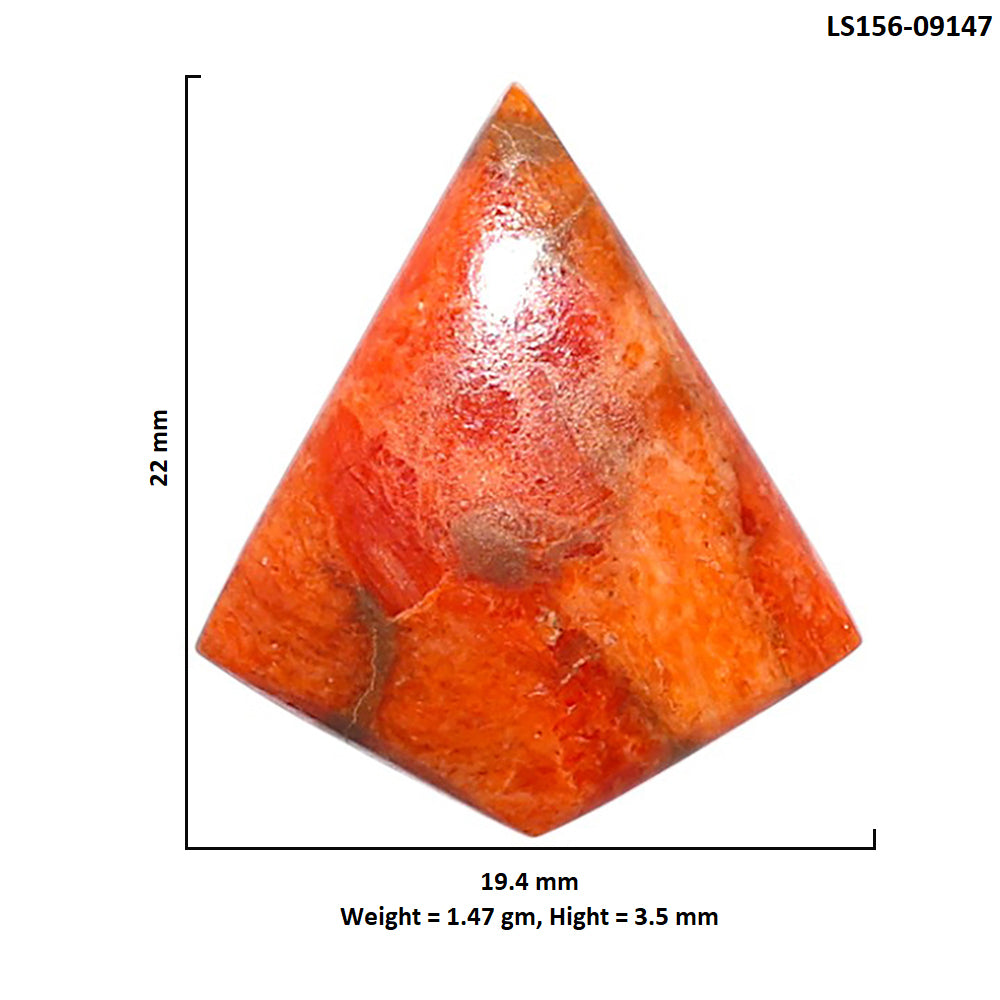 Red Sponge Coral 19.4x22x3.5 mm Fancy Shape Polished Gemstone LS156-09147