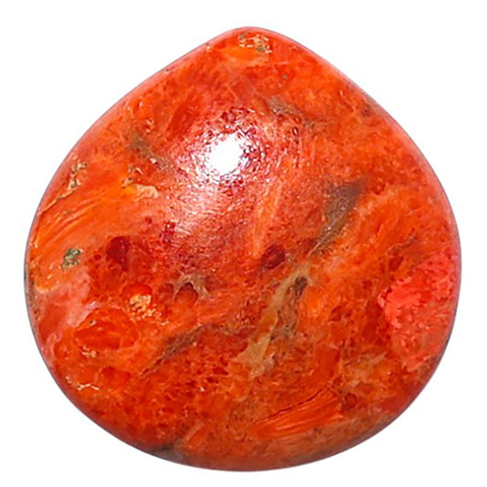 Red Sponge Coral 18.8x19x4 mm Heart Shape Polished Gemstone LS156-09148