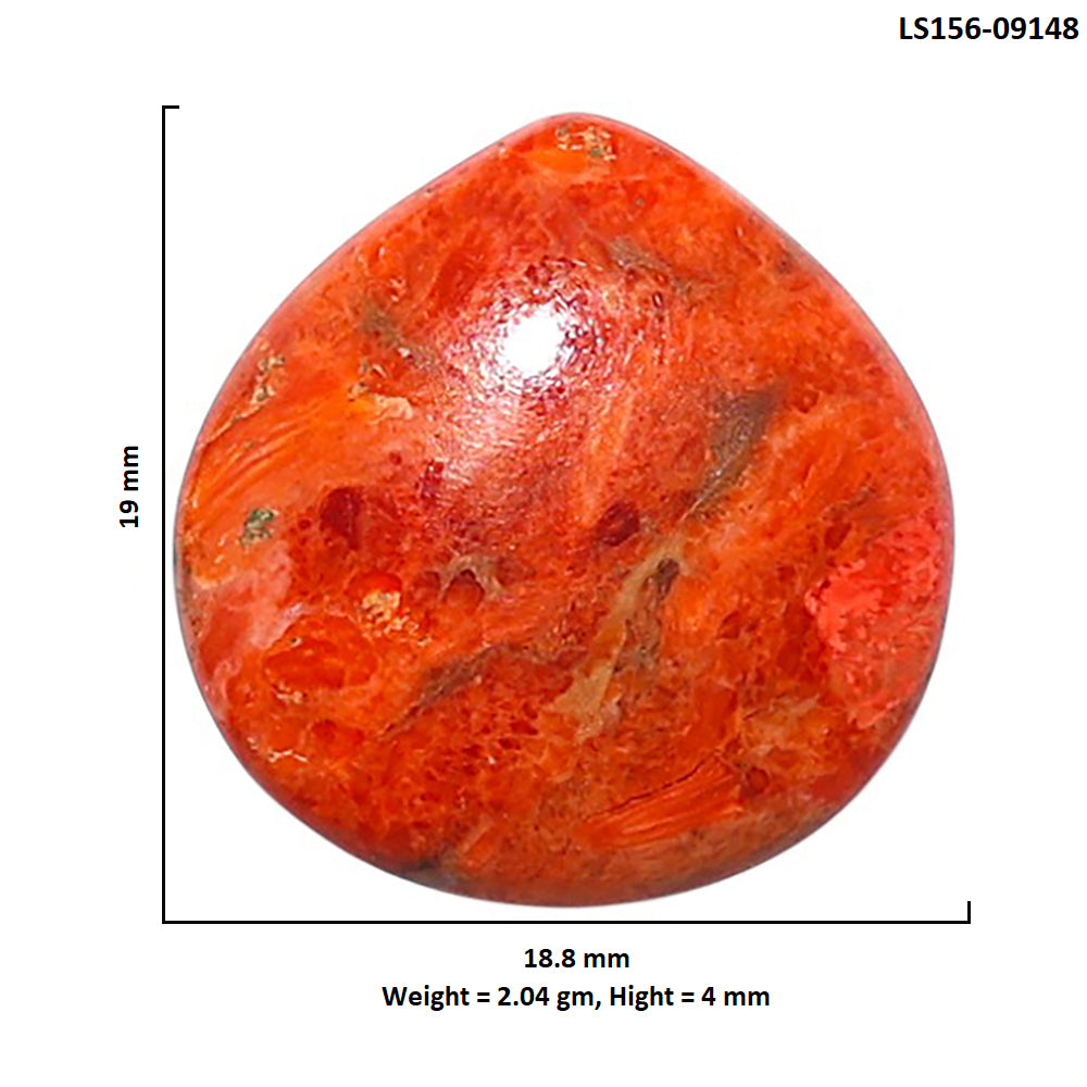 Red Sponge Coral 18.8x19x4 mm Heart Shape Polished Gemstone LS156-09148