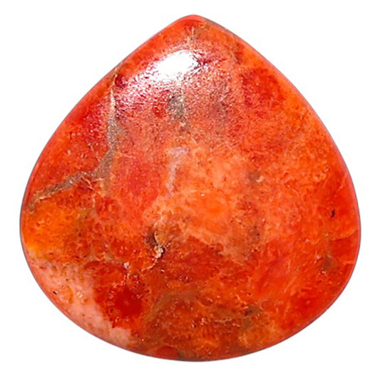 Red Sponge Coral 20x20.5x2.2 mm Heart Shape Polished Gemstone LS156-09149