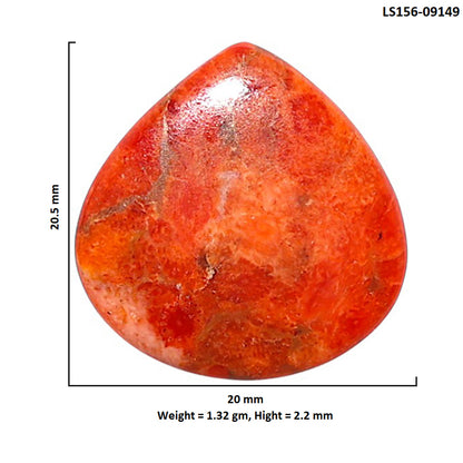 Red Sponge Coral 20x20.5x2.2 mm Heart Shape Polished Gemstone LS156-09149