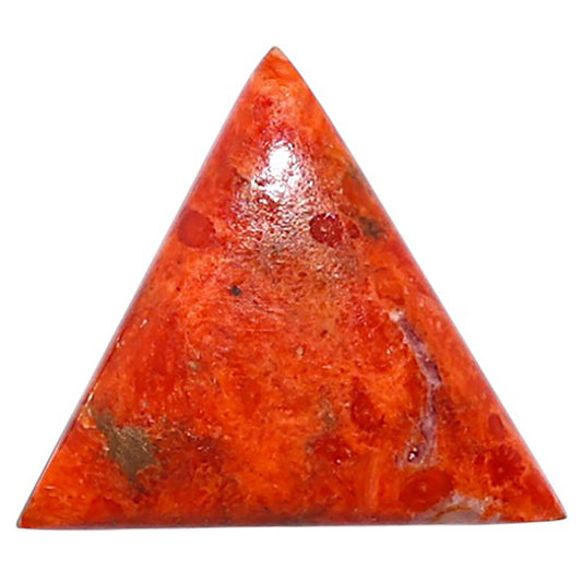 Red Sponge Coral 18.7x19x3.7 mm Fancy Shape Polished Gemstone LS156-09150