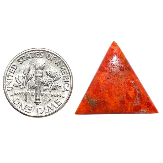 Red Sponge Coral 18.7x19x3.7 mm Fancy Shape Polished Gemstone LS156-09150