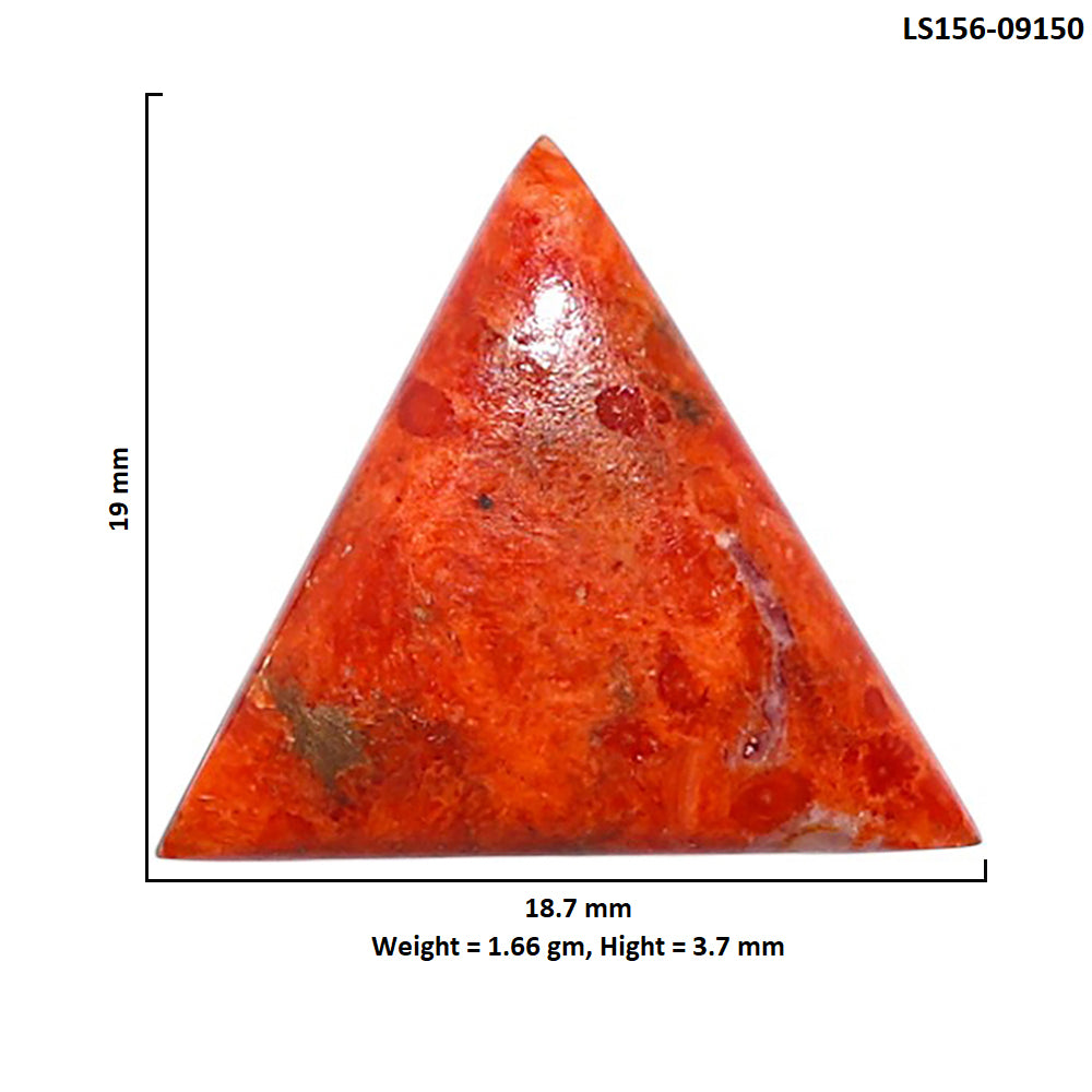 Red Sponge Coral 18.7x19x3.7 mm Fancy Shape Polished Gemstone LS156-09150
