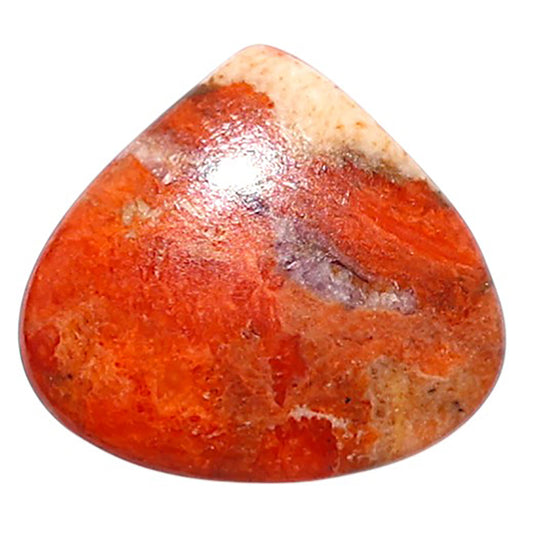 Red Sponge Coral 16.9x18.6x3.2 mm Heart Shape Polished Gemstone LS156-09151