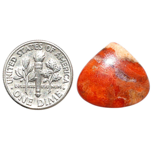 Red Sponge Coral 16.9x18.6x3.2 mm Heart Shape Polished Gemstone LS156-09151