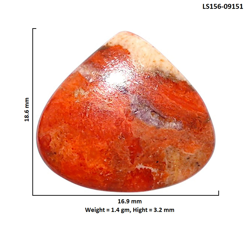 Red Sponge Coral 16.9x18.6x3.2 mm Heart Shape Polished Gemstone LS156-09151