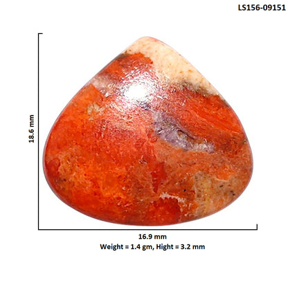 Red Sponge Coral 16.9x18.6x3.2 mm Heart Shape Polished Gemstone LS156-09151