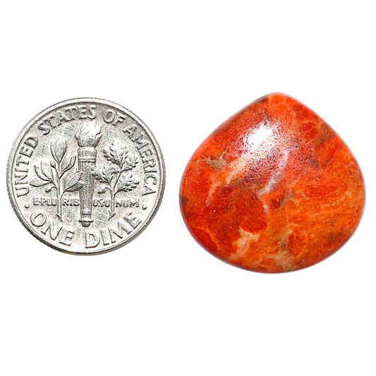 Red Sponge Coral 20.5x21.2x3.5 mm Heart Shape Polished Gemstone LS156-09152