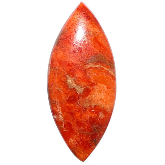 Red Sponge Coral 12.4x28.75x4 mm Marquise Shape Polished Gemstone LS156-09153