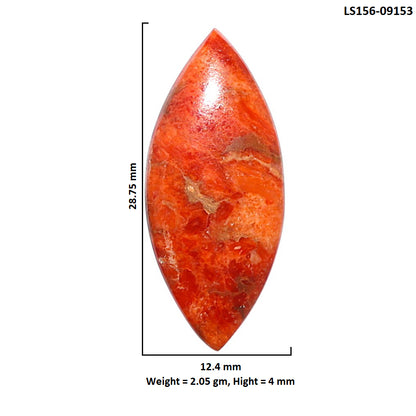 Red Sponge Coral 12.4x28.75x4 mm Marquise Shape Polished Gemstone LS156-09153