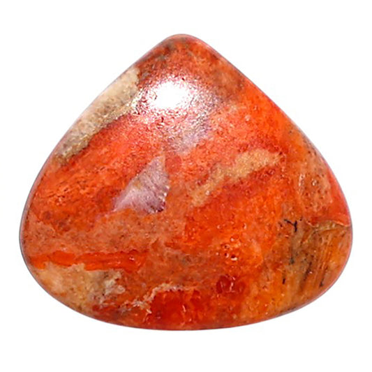 Red Sponge Coral 16.7x18.8x3.2 mm Heart Shape Polished Gemstone LS156-09154
