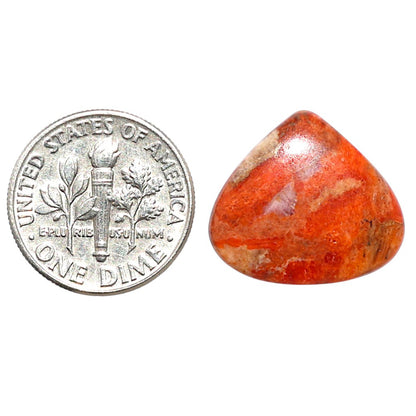 Red Sponge Coral 16.7x18.8x3.2 mm Heart Shape Polished Gemstone LS156-09154