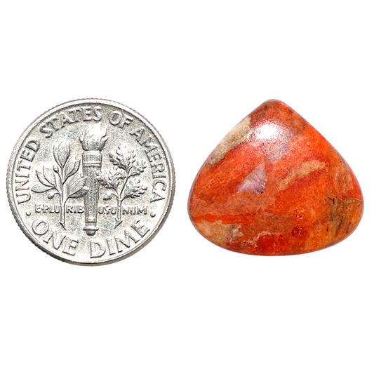Red Sponge Coral 16.7x18.8x3.2 mm Heart Shape Polished Gemstone LS156-09154
