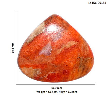 Red Sponge Coral 16.7x18.8x3.2 mm Heart Shape Polished Gemstone LS156-09154