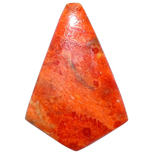 Red Sponge Coral 17.7x25.45x3.3 mm Fancy Shape Polished Gemstone LS156-09157