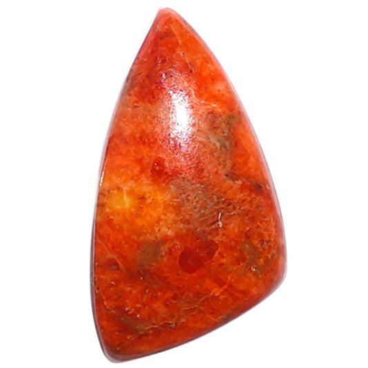 Red Sponge Coral 12x21.65x5 mm Fancy Shape Polished Gemstone LS156-09158