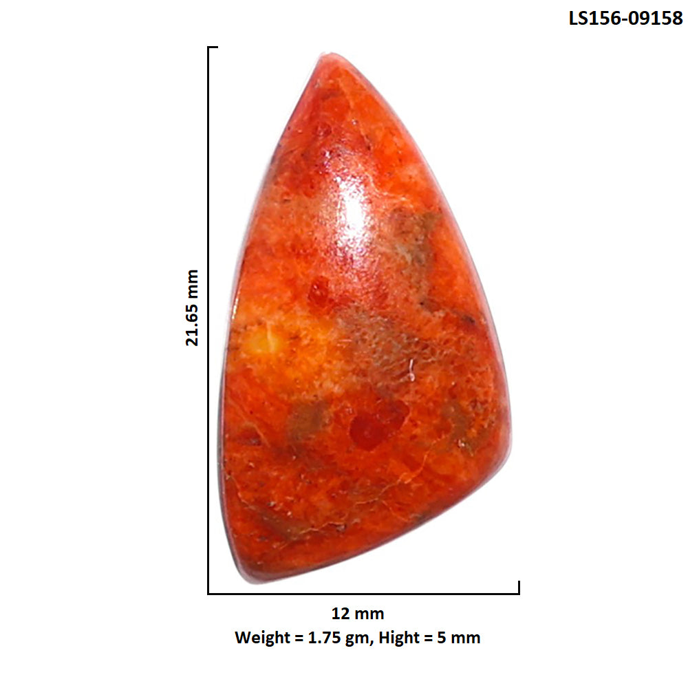 Red Sponge Coral 12x21.65x5 mm Fancy Shape Polished Gemstone LS156-09158