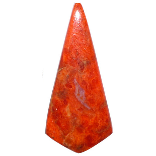 Red Sponge Coral 13.4x29.85x3 mm Fancy Shape Polished Gemstone LS156-09159