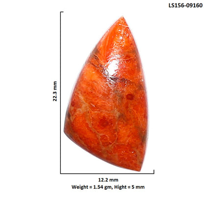 Red Sponge Coral 12.2x22.3x5 mm Fancy Shape Polished Gemstone LS156-09160