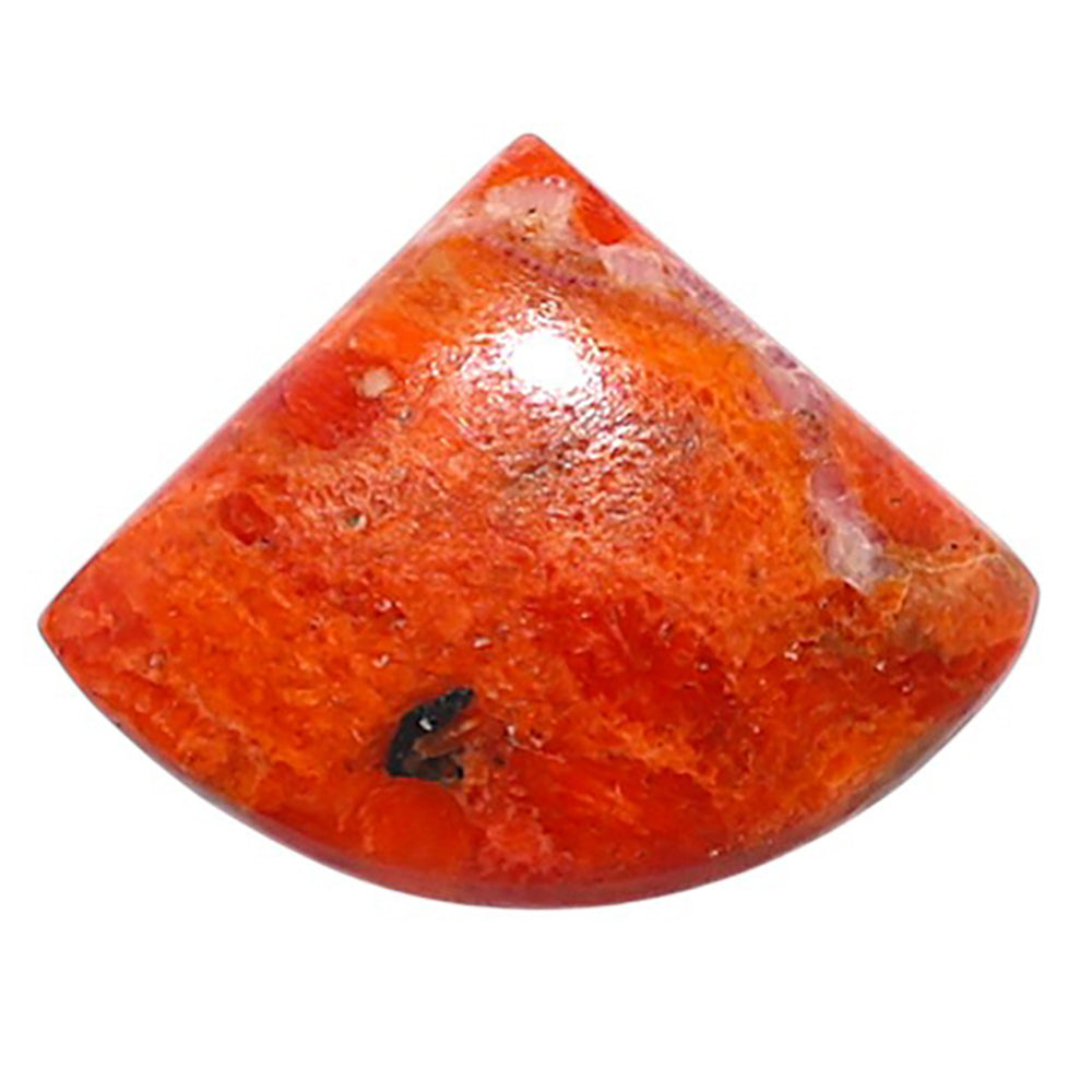 Red Sponge Coral 16.4x21.2x3.6 mm Fancy Shape Polished Gemstone LS156-09161