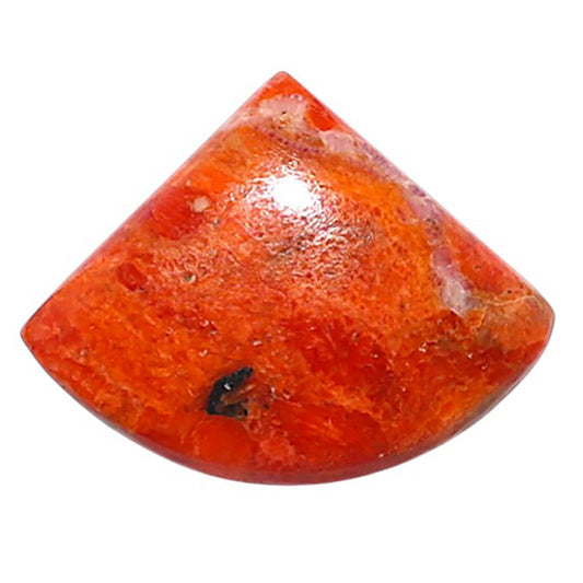 Red Sponge Coral 16.4x21.2x3.6 mm Fancy Shape Polished Gemstone LS156-09161