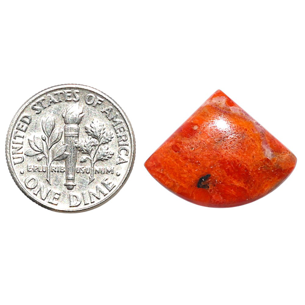 Red Sponge Coral 16.4x21.2x3.6 mm Fancy Shape Polished Gemstone LS156-09161