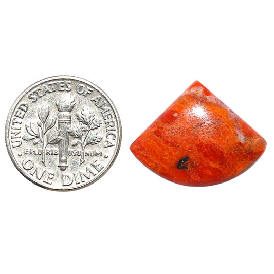 Red Sponge Coral 16.4x21.2x3.6 mm Fancy Shape Polished Gemstone LS156-09161