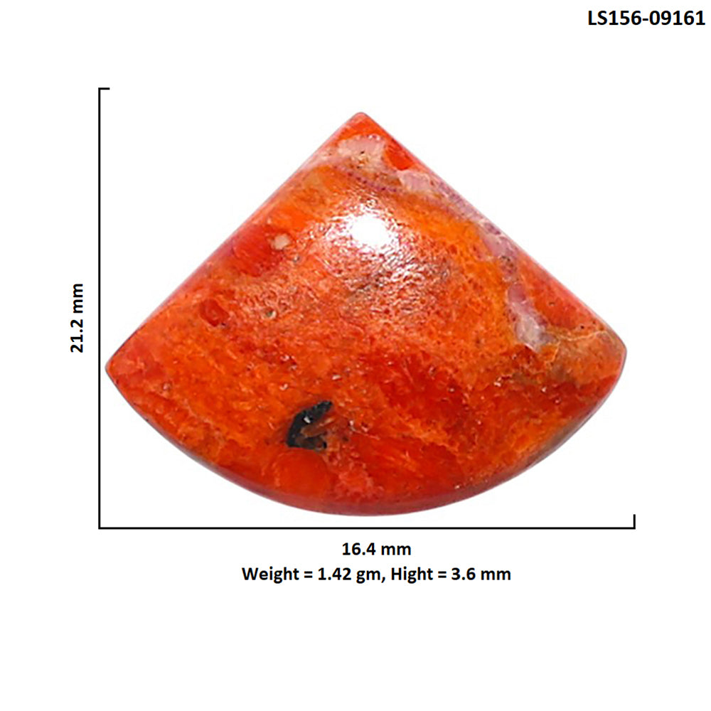 Red Sponge Coral 16.4x21.2x3.6 mm Fancy Shape Polished Gemstone LS156-09161