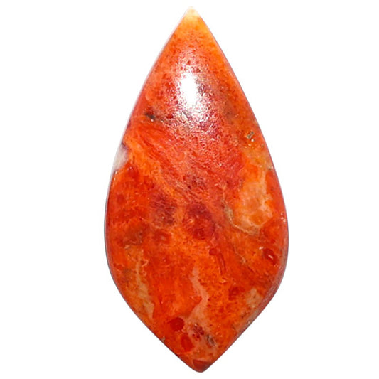 Red Sponge Coral 13x25.9x3.5 mm Fancy Shape Polished Gemstone LS156-09162