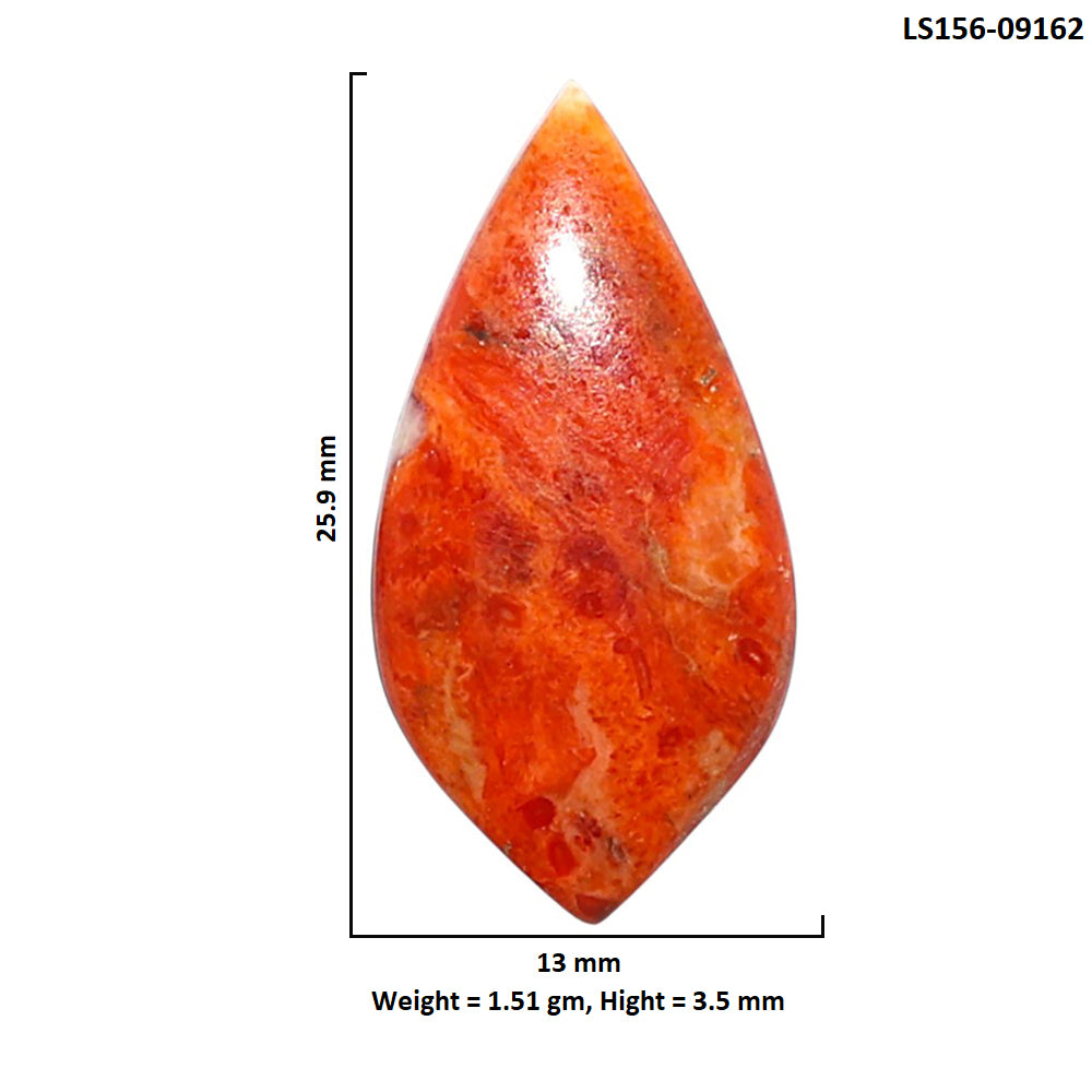 Red Sponge Coral 13x25.9x3.5 mm Fancy Shape Polished Gemstone LS156-09162