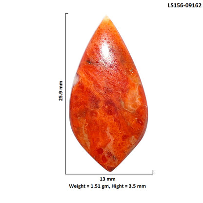 Red Sponge Coral 13x25.9x3.5 mm Fancy Shape Polished Gemstone LS156-09162