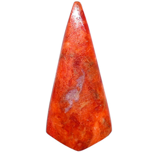 Red Sponge Coral 13.3x29.9x3 mm Fancy Shape Polished Gemstone LS156-09163