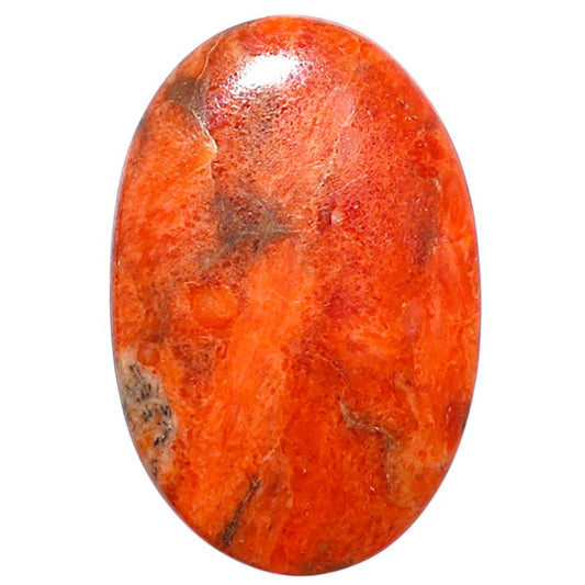 Red Sponge Coral 18.4x27.8x2.6 mm Oval Shape Polished Gemstone LS156-09164
