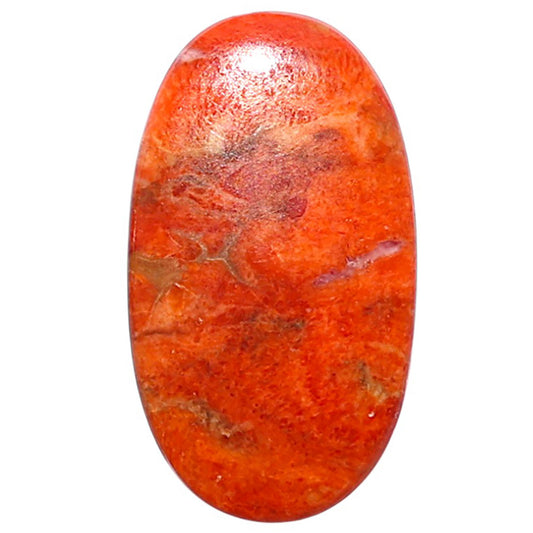 Red Sponge Coral 16x28.1x3 mm Oval Shape Polished Gemstone LS156-09165