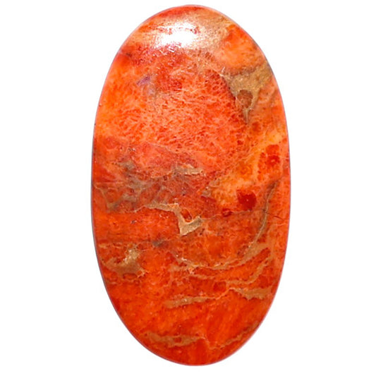 Red Sponge Coral 15x27.2x2 mm Oval Shape Polished Gemstone LS156-09166