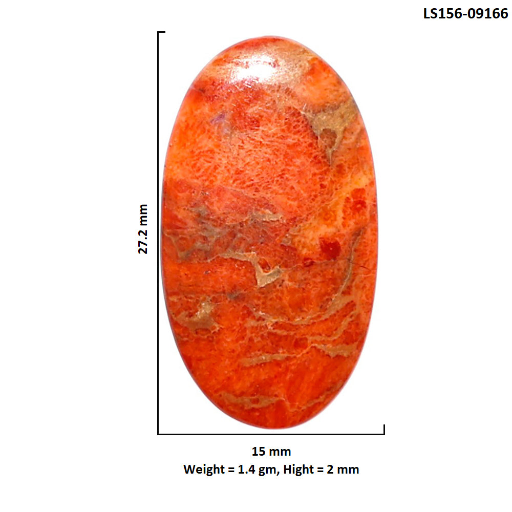 Red Sponge Coral 15x27.2x2 mm Oval Shape Polished Gemstone LS156-09166
