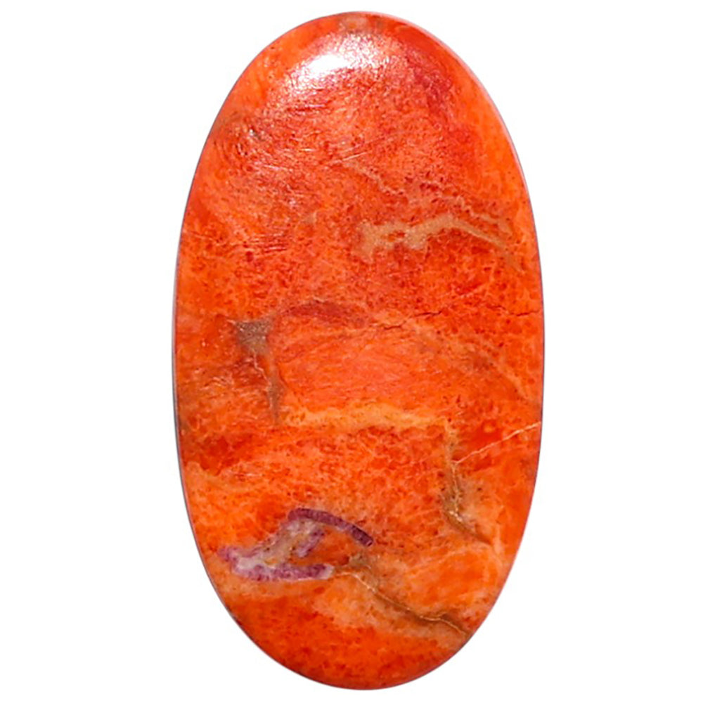 Red Sponge Coral 14.7x26.75x2 mm Oval Shape Polished Gemstone LS156-09167