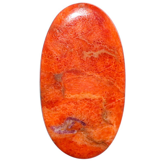 Red Sponge Coral 14.7x26.75x2 mm Oval Shape Polished Gemstone LS156-09167