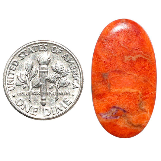 Red Sponge Coral 14.7x26.75x2 mm Oval Shape Polished Gemstone LS156-09167