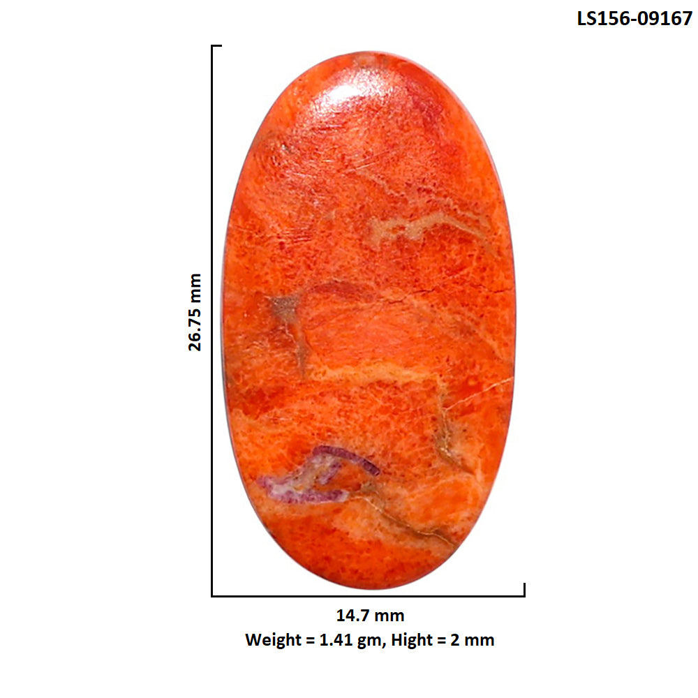 Red Sponge Coral 14.7x26.75x2 mm Oval Shape Polished Gemstone LS156-09167